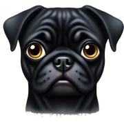 Black pug sticker