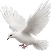 Dove sticker