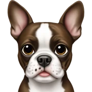 Boston terrier sticker