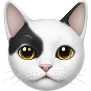 White cat with black ears  sticker