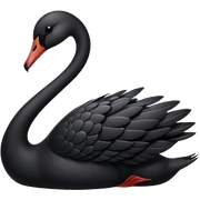 Elegant black swan sticker
