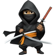 Ninja sticker
