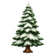  actual white fir christmas tree isolated.  sticker