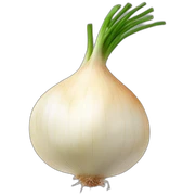 onion sticker