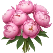 bouquet of peonies sticker