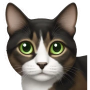 black brown and white cat with green eyes  sticker