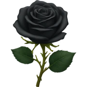 black rose sticker