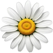 daisy sticker