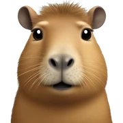 Capybara sticker