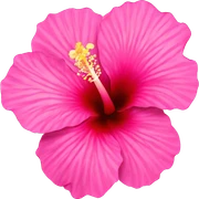 pink hibiscus sticker