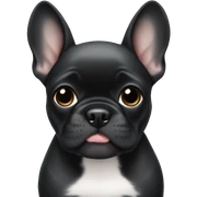 Black Frenchie puppy sticker