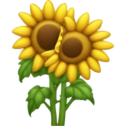 girasole sticker