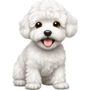 White curly maltipoo sticker