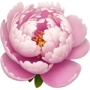 peony sticker