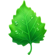 Green sticker