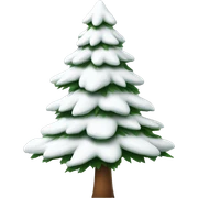  actual white fir christmas tree isolated.  sticker