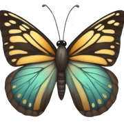 Butterfly  sticker