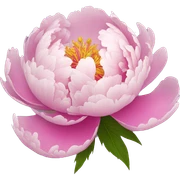 peony  sticker