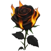 BURNING BLACK ROSE sticker