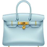Birkin bag  sticker
