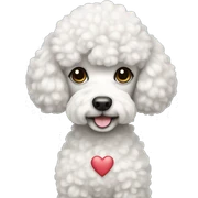 Poodle with white heart sticker