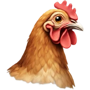 Chicken sticker