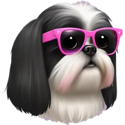 All black hair shiz tzu with pink sunglasses sticker