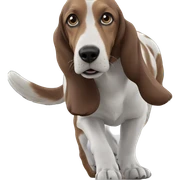 realistic dog in blurry background sticker