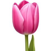 Pink tulip sticker