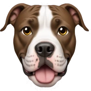 Pitbull  sticker