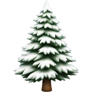  actual white fir christmas tree isolated.  sticker