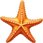Starfish sticker