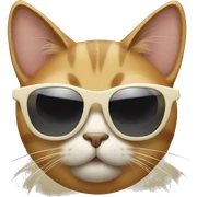 Cat with sunglasses sticker