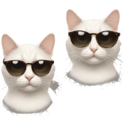 cat with cat with sunglasses sticker