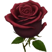 Dark red rose sticker
