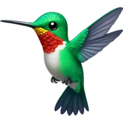 Hummingbird sticker