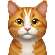 ginger cat sticker