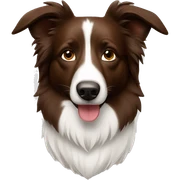 Brown border collie sticker