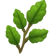 Mistletoe sticker