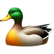 duck  sticker