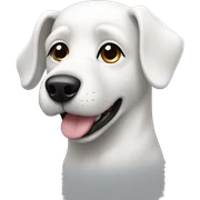white dog with a black ear sticker