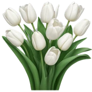 white tulips sticker
