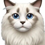 Ragdoll cat sticker