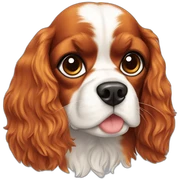 Cavalier King Charles sticker