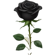 black rose sticker