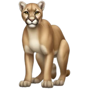 Puma Full Body sticker