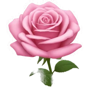 Pink rose  sticker