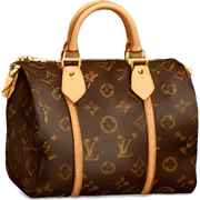 louis vuitton bag sticker