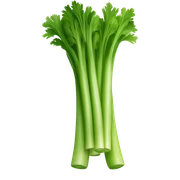 Celery  sticker