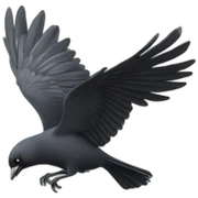 flying jackdaw with crown sticker